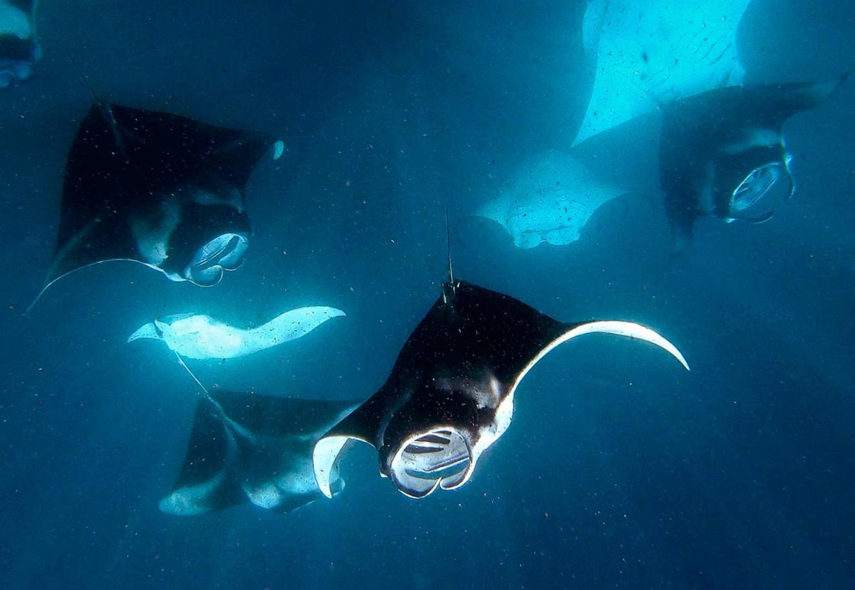 Manta Reserve Maalhos  Zewnętrze zdjęcie