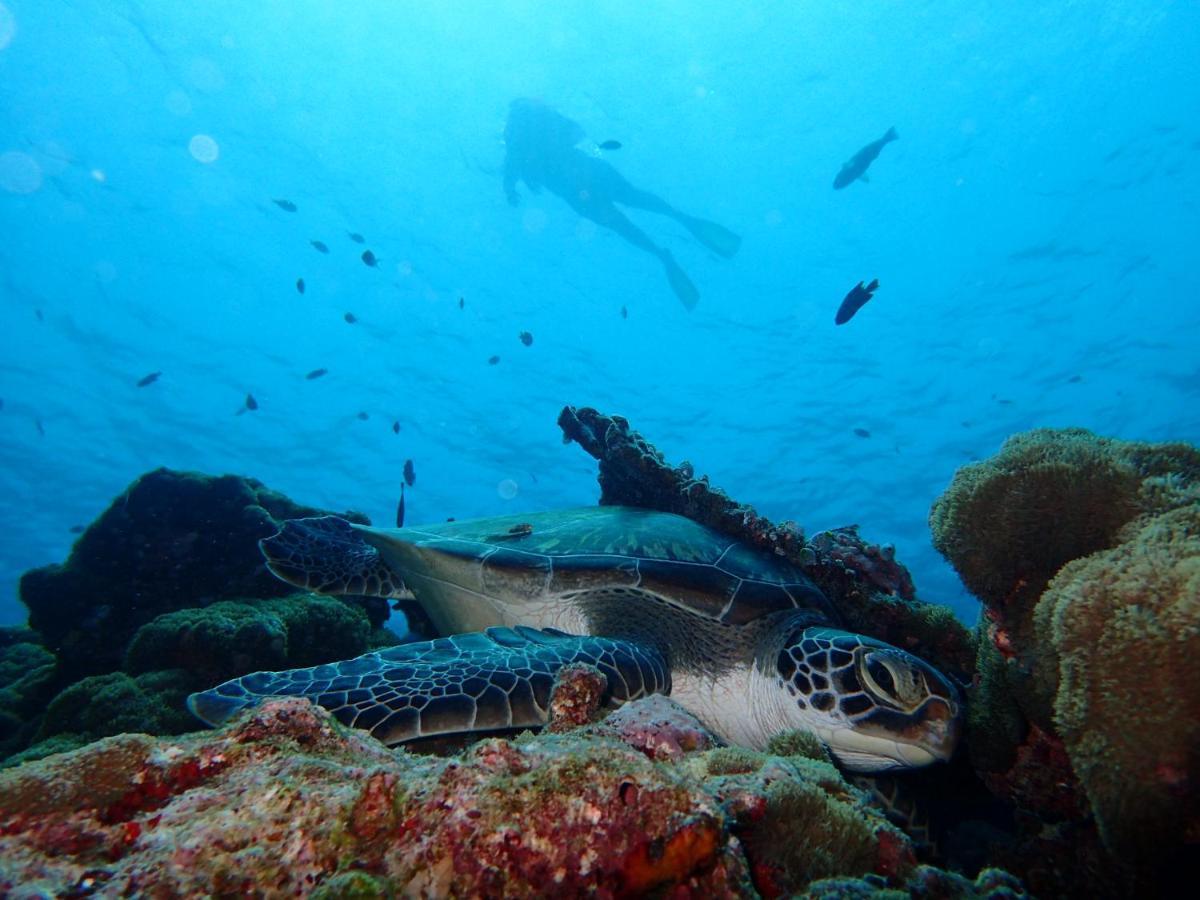 Manta Reserve Maalhos  Zewnętrze zdjęcie